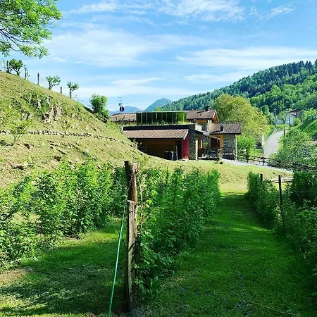 Il Talento Nella Quiete Alloggio per agriturismo