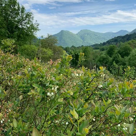 Alloggio per agriturismo Il Talento Nella Quiete