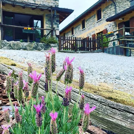 Il Talento Nella Quiete Alloggio per agriturismo Castiglione dʼIntelvi