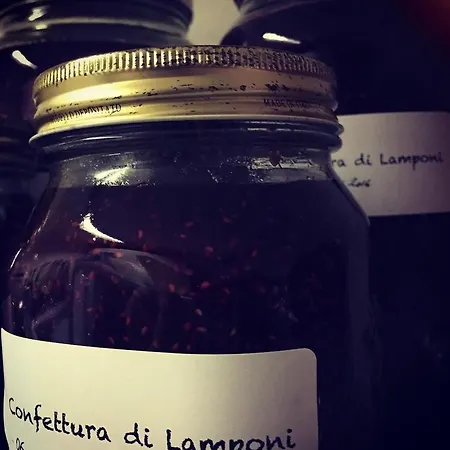 Il Talento Nella Quiete Farma *