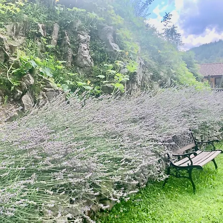 Farma Il Talento Nella Quiete *