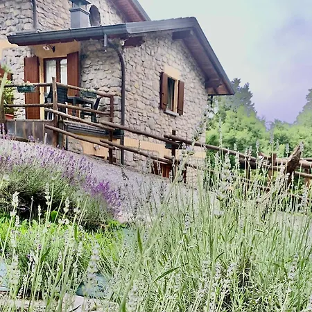 Il Talento Nella Quiete Alloggio per agriturismo Castiglione dʼIntelvi